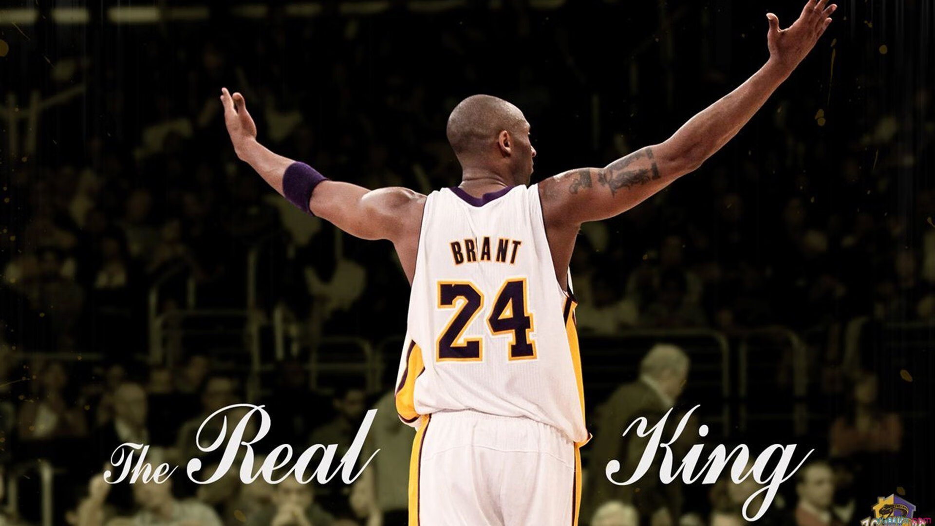 老将传射定乾坤，新星闪耀引球探—意甲赛场上的传承与更迭，老将传射定乾坤，新星闪耀引球探—意甲赛场上的传承与更迭